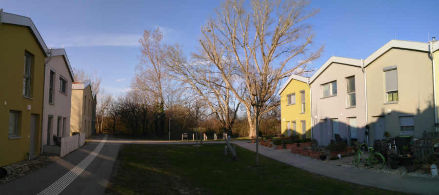 Eine Reihenhaussiedlung mit Baumgruppe in der Frühlingsabendsonne